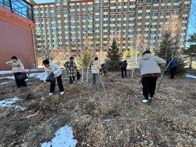 林西县林西镇南街服务站：深耕共建沃土 绽放文明之花